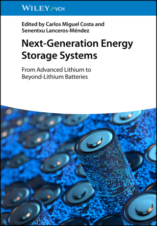 Next-Generation Energy Storage Systems
