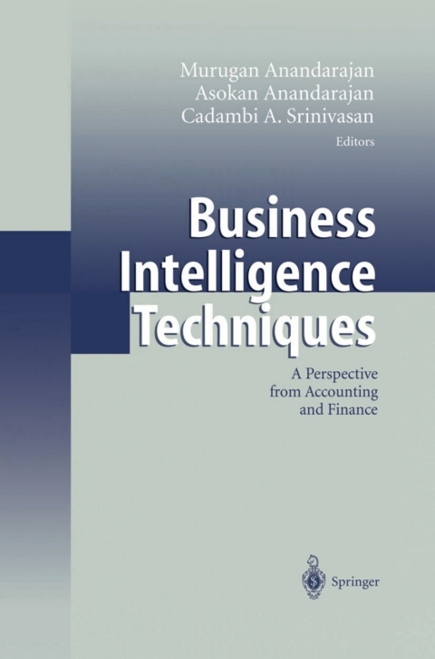 Cover image for book Business Intelligence Techniques