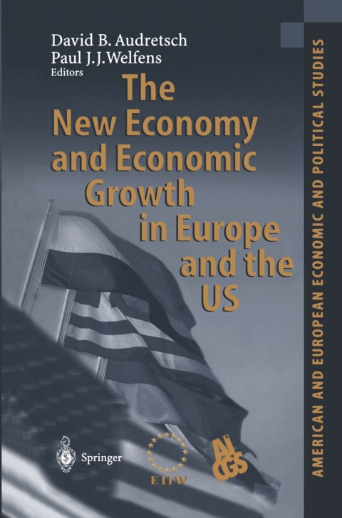 Cover image for book The New Economy and Economic Growth in Europe and the US
