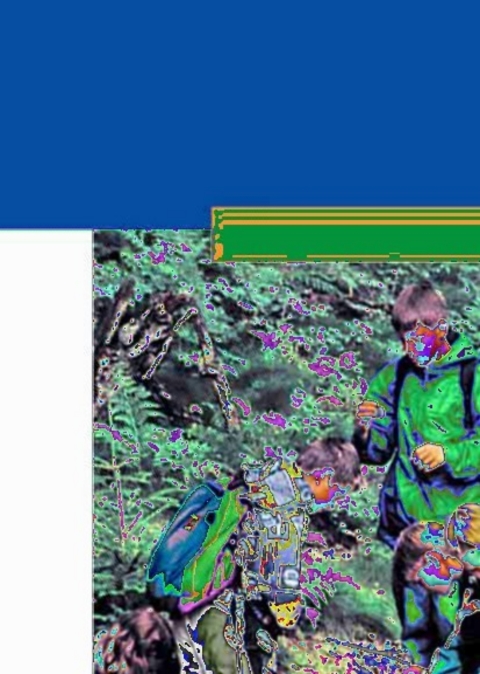 Cover image for book Full of Life
