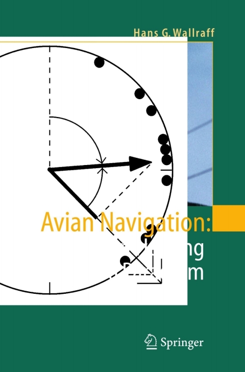 Cover image for book Avian Navigation: Pigeon Homing as a Paradigm