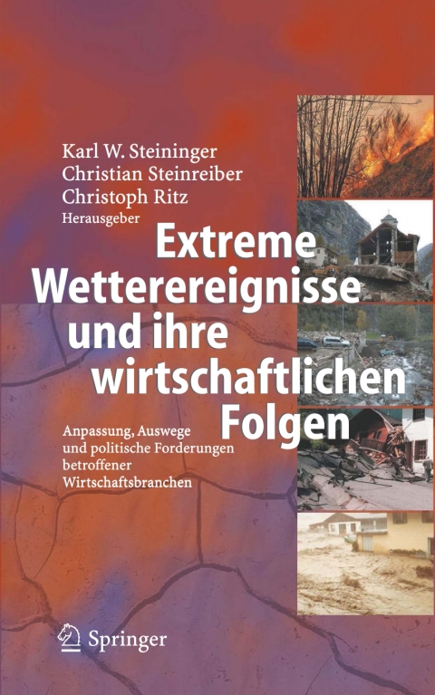 Cover image for book Extreme Wetterereignisse und ihre wirtschaftlichen Folgen