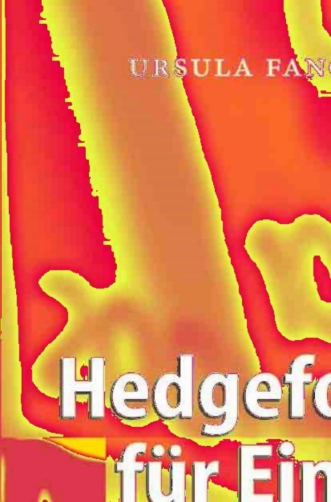 Cover image for book Hedgefonds für Einsteiger