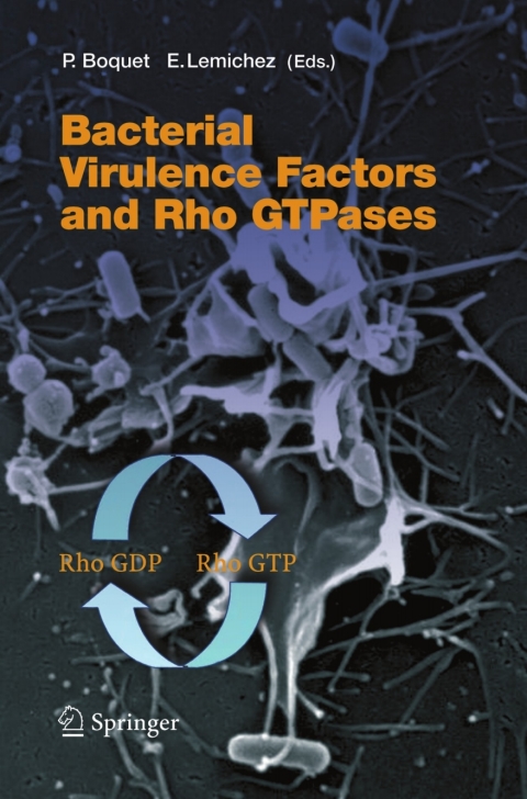 Cover image for book Bacterial Virulence Factors and Rho GTPases