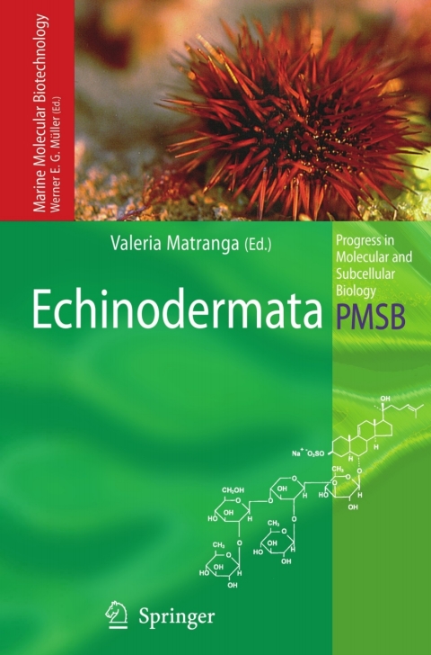 Cover image for book Echinodermata