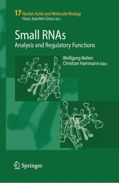 Cover image for book Small RNAs: