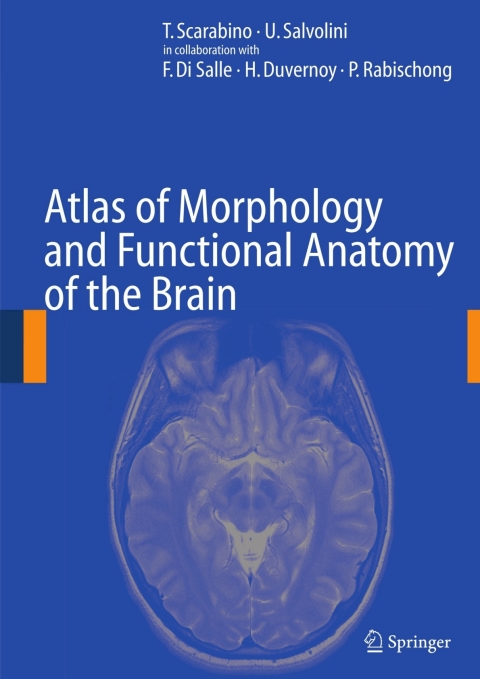Cover image for book Atlas of Morphology and Functional Anatomy of the Brain