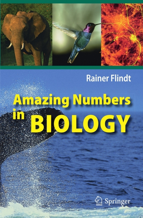 Cover image for book Amazing Numbers in Biology