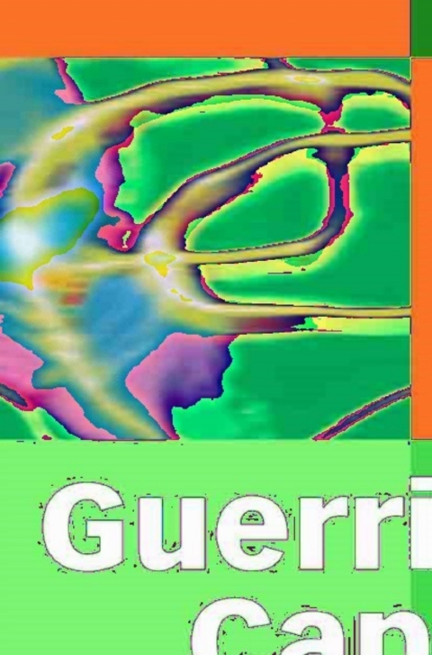 Cover image for book Guerrilla Capacity Planning