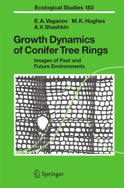 Growth Dynamics of Conifer Tree Rings 