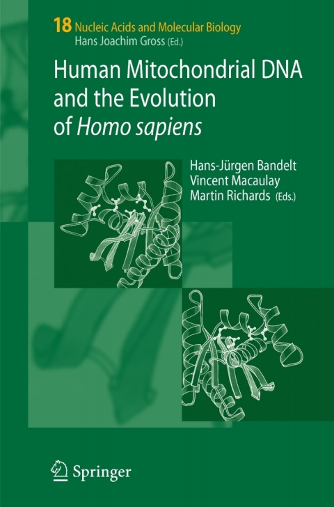 Cover image for book Human Mitochondrial DNA and the Evolution of Homo sapiens
