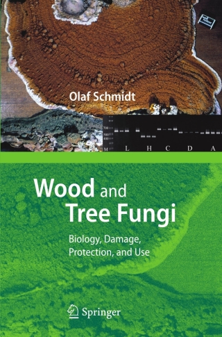 Wood and Tree Fungi