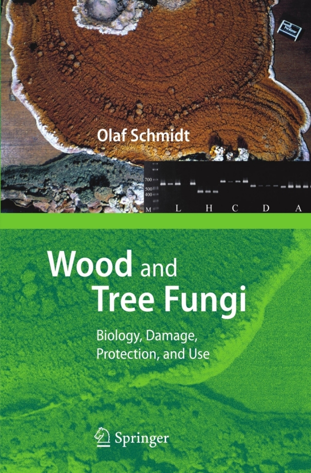 Wood and Tree Fungi