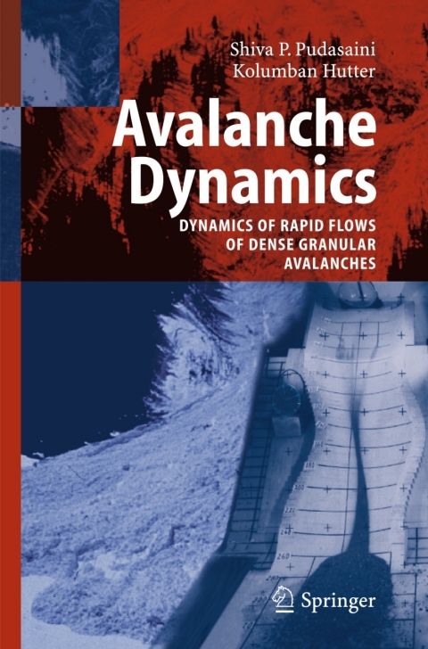 Cover image for book Avalanche Dynamics