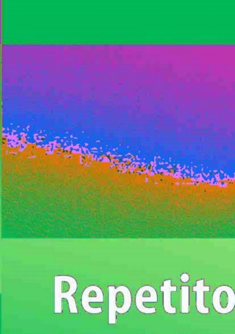 Cover image for book Repetitorium Notfallmedizin