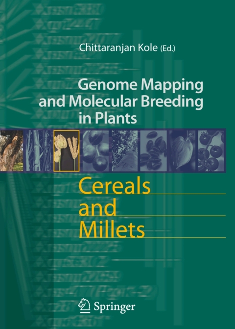 Cover image for book Cereals and Millets