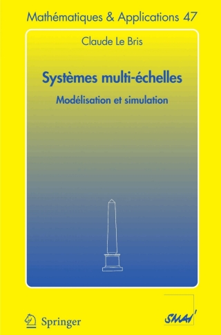 Systèmes multi-èchelles