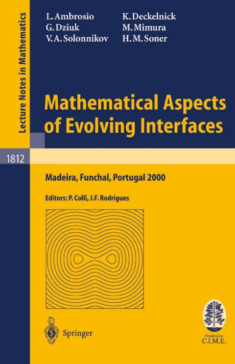 Mathematical Aspects of Evolving Interfaces 