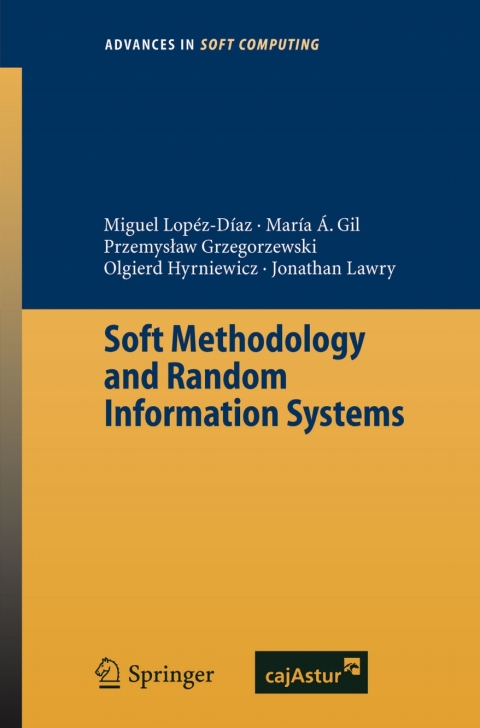 Soft Methodology and Random Information Systems 
