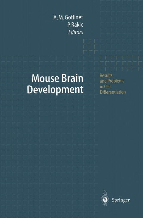 Mouse Brain Development 