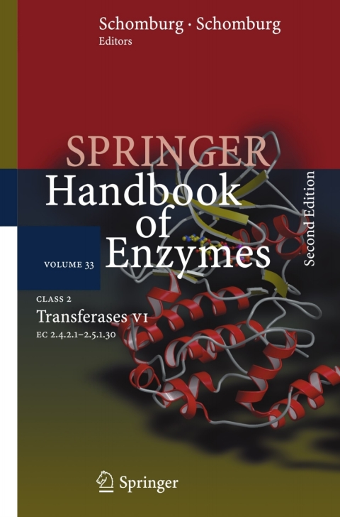 Cover image for book Class 2  Transferases VI