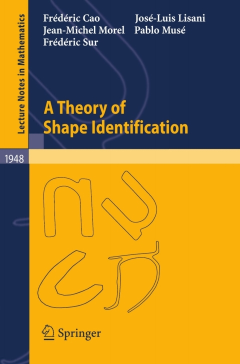 Cover image for book A Theory of Shape Identification