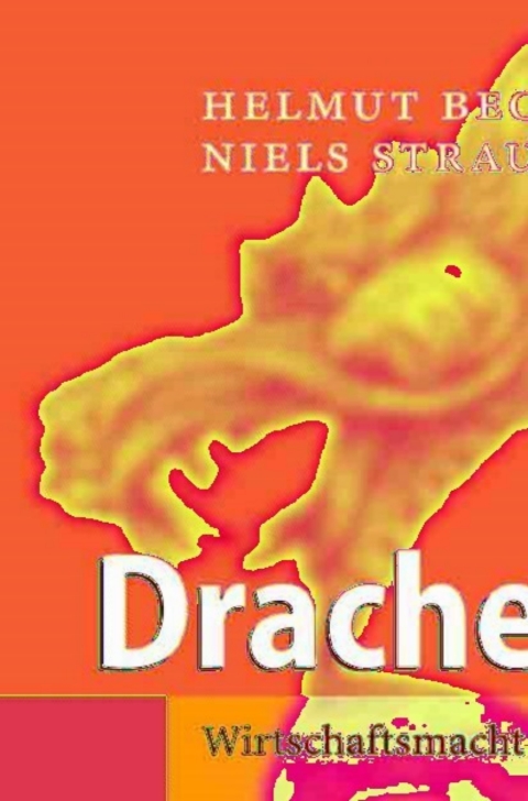 Cover image for book Drachenflug