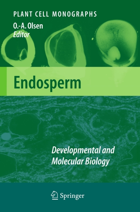 Cover image for book Endosperm