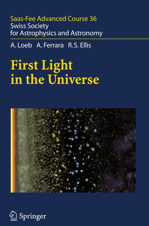 First Light in the Universe 