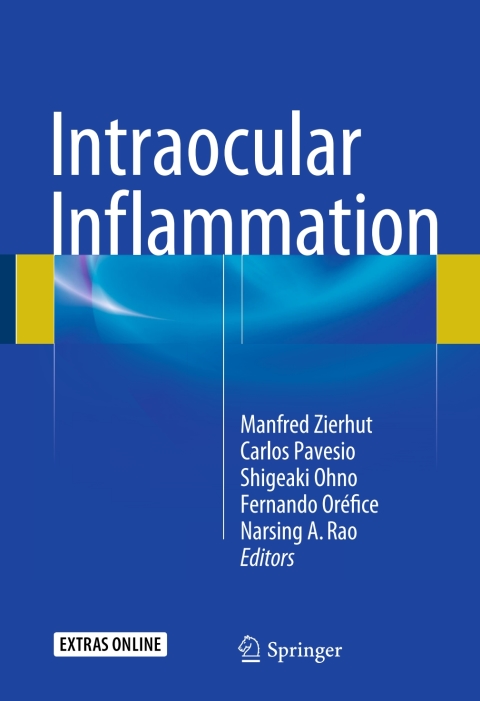 Cover image for book Intraocular Inflammation