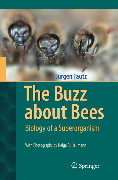 Cover image for book The Buzz about Bees