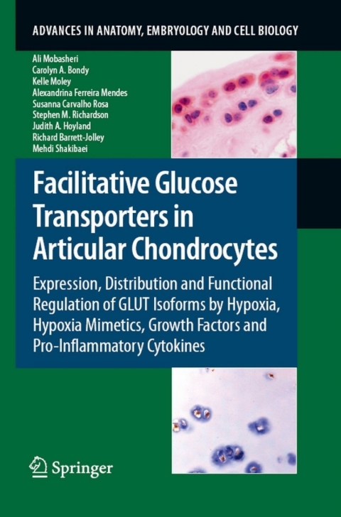 Cover image for book Facilitative Glucose Transporters in Articular Chondrocytes