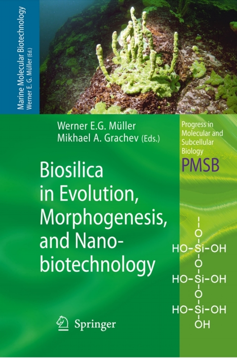 Cover image for book Biosilica in Evolution, Morphogenesis, and Nanobiotechnology