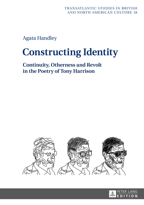 Cover image for book Constructing Identity