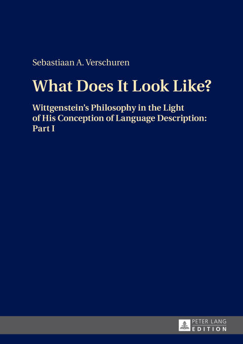 Cover image for book What Does It Look Like?