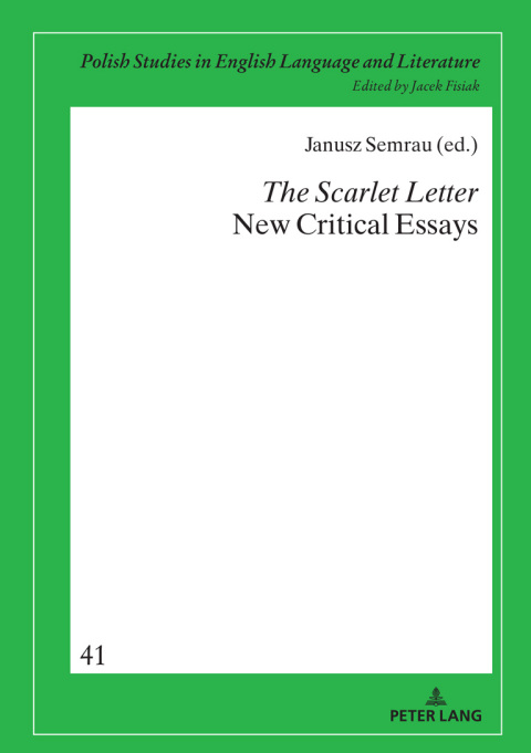 Cover image for book The Scarlet Letter. New Critical Essays