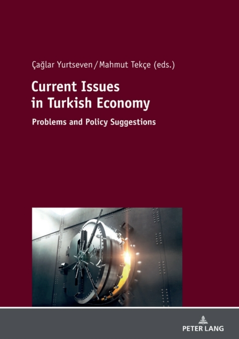 Cover image for book Current Issues in Turkish Economics