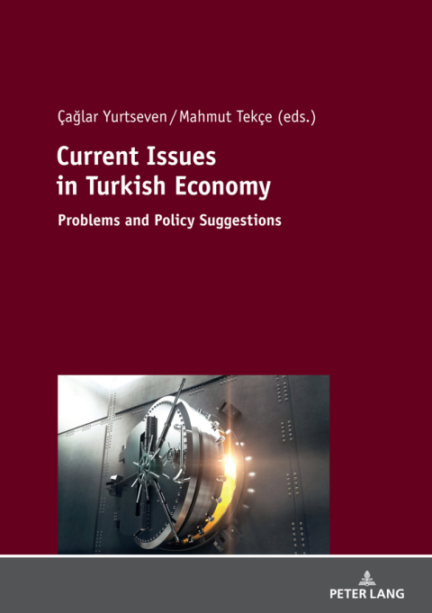 Cover image for book Current Issues in Turkish Economics