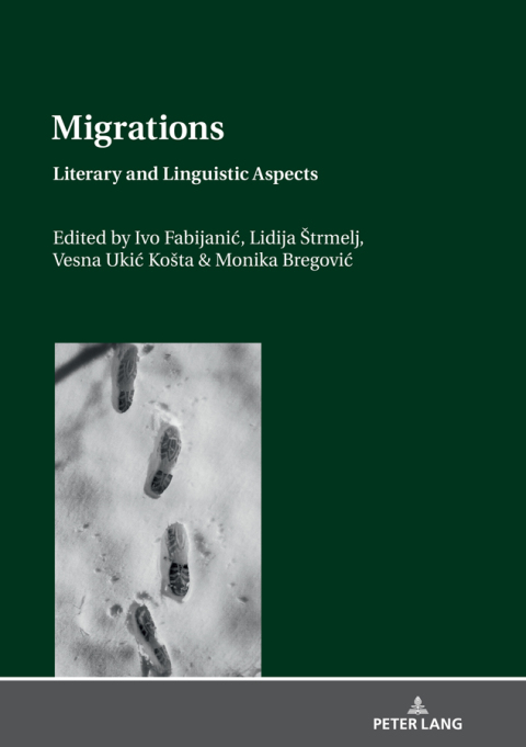 Cover image for book Migrations: Literary and Linguistic Aspects