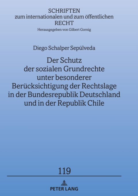 Cover image for book Der Schutz der sozialen Grundrechte unter besonderer Beruecksichtigung der Rechtslage in der Bundesrepublik Deutschland und in der Republik Chile
