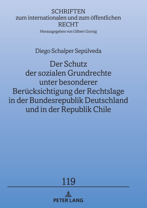 Cover image for book Der Schutz der sozialen Grundrechte unter besonderer Beruecksichtigung der Rechtslage in der Bundesrepublik Deutschland und in der Republik Chile