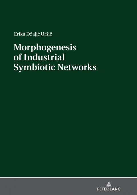 Cover image for book Morphogenesis of Industrial Symbiotic Networks