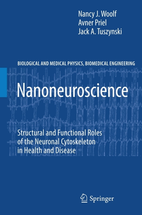 Cover image for book Nanoneuroscience