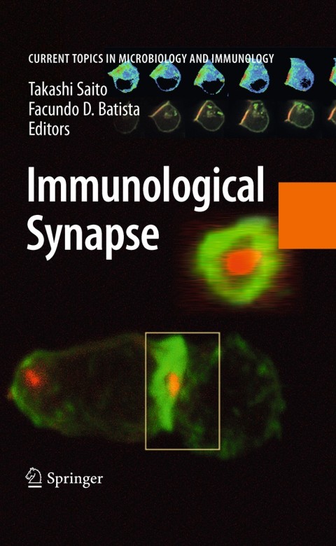Cover image for book Immunological Synapse