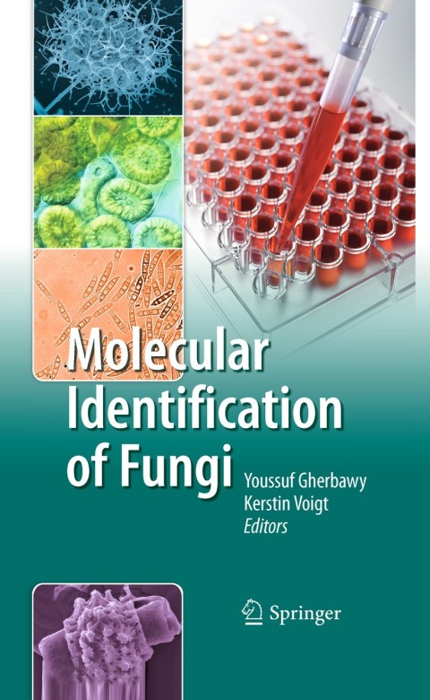 Cover image for book Molecular Identification of Fungi