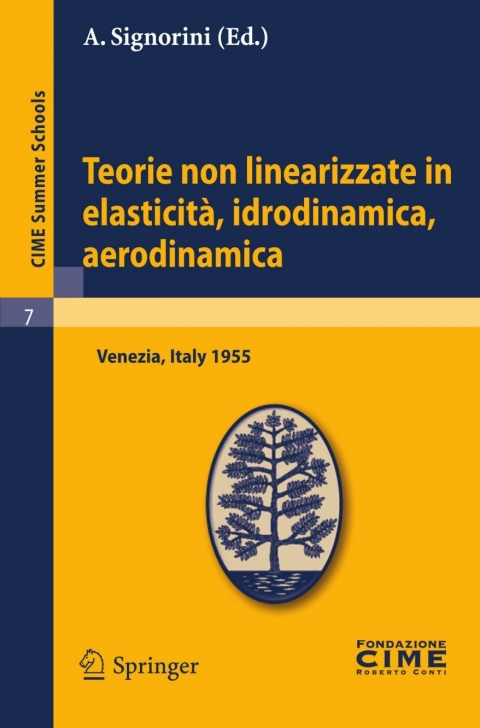 Cover image for book Teorie non linearizzate in elasticità, idrodinamica e aerodinamica