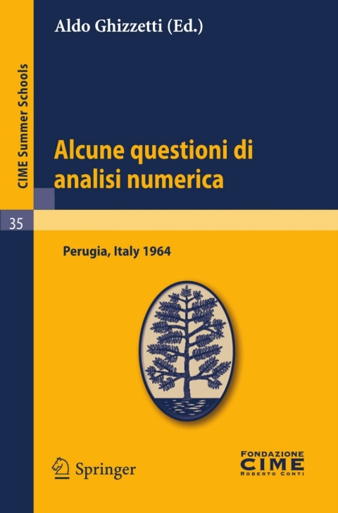 Cover image for book Alcune questioni di analisi numerica