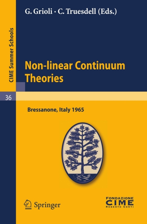 Cover image for book Non-linear Continuum Theories