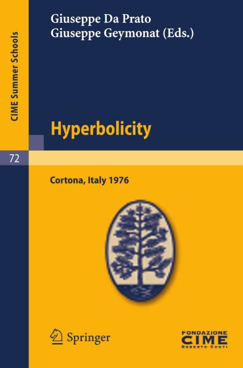 Cover image for book Hyperbolicity