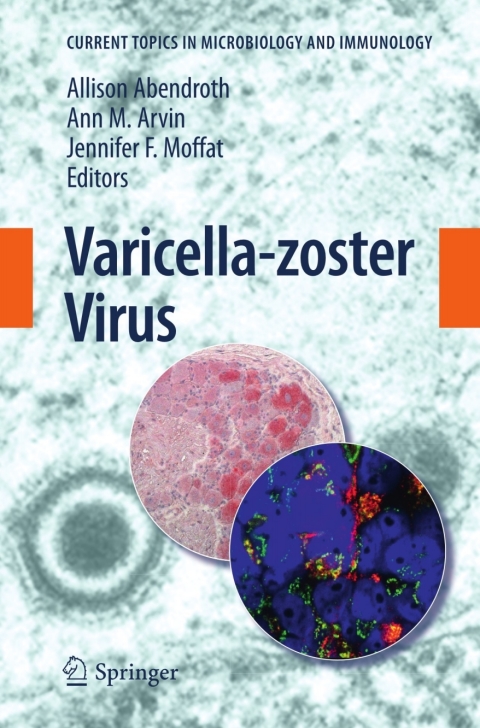 Cover image for book Varicella-zoster Virus